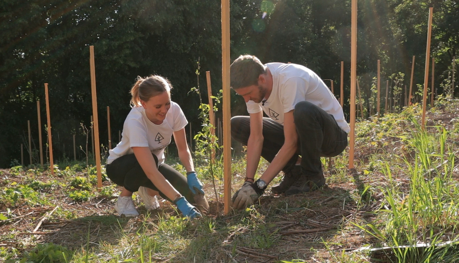 Almighty Tree plantation - OneAction