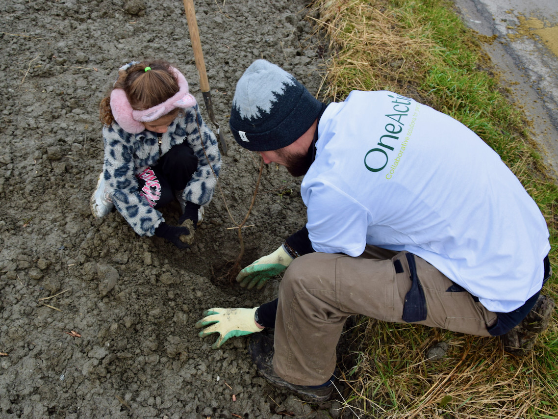 Imports 1 of 26 uai - OneAction