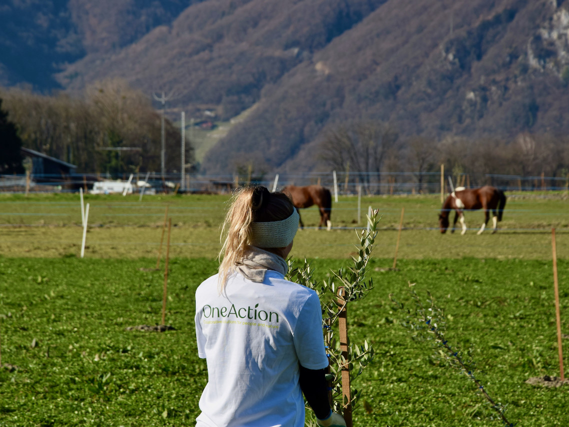 Imports 12 of 26 uai - OneAction