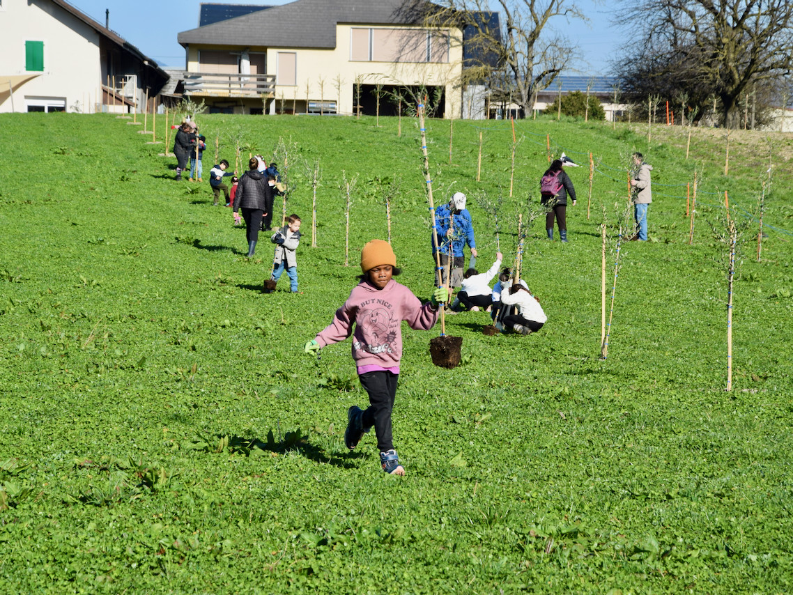 Imports 13 of 26 uai - OneAction