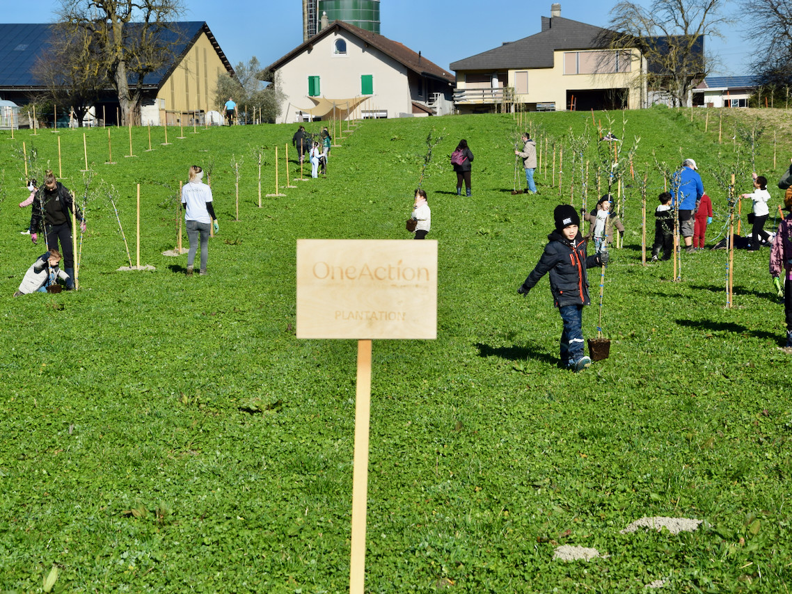 Imports 14 of 26 uai - OneAction