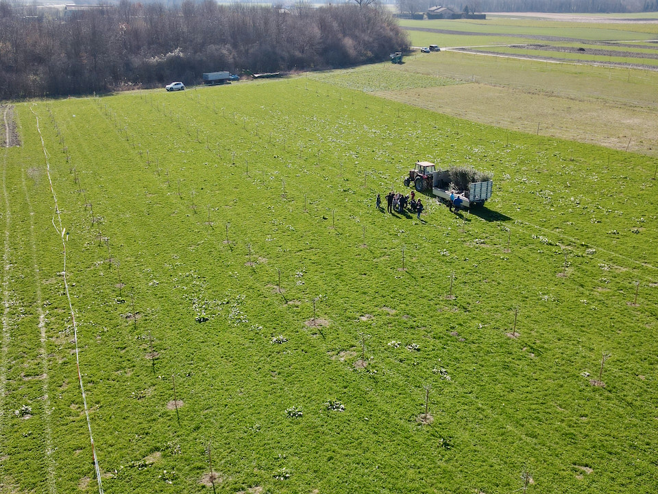 Imports 18 of 26 uai - OneAction