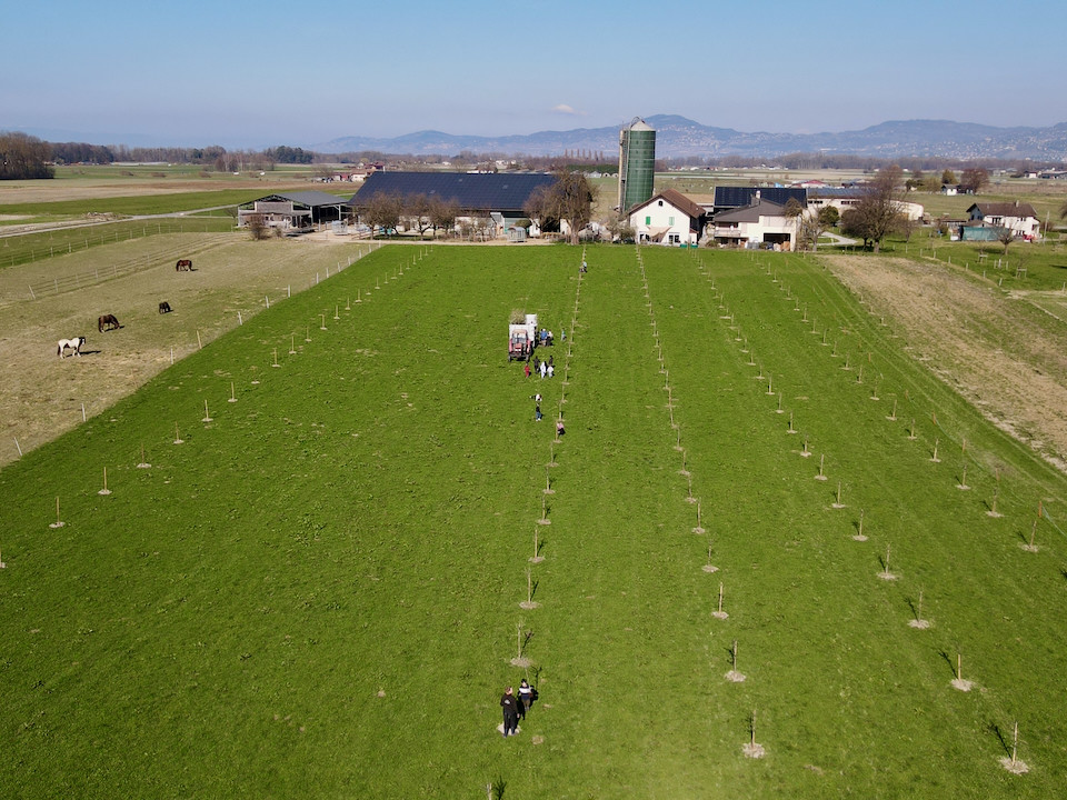 Imports 19 of 26 uai - OneAction