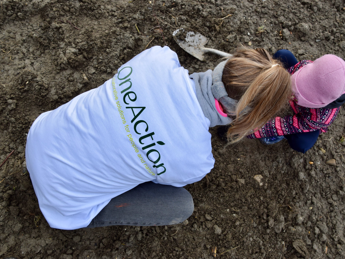 Imports 2 of 26 uai - OneAction