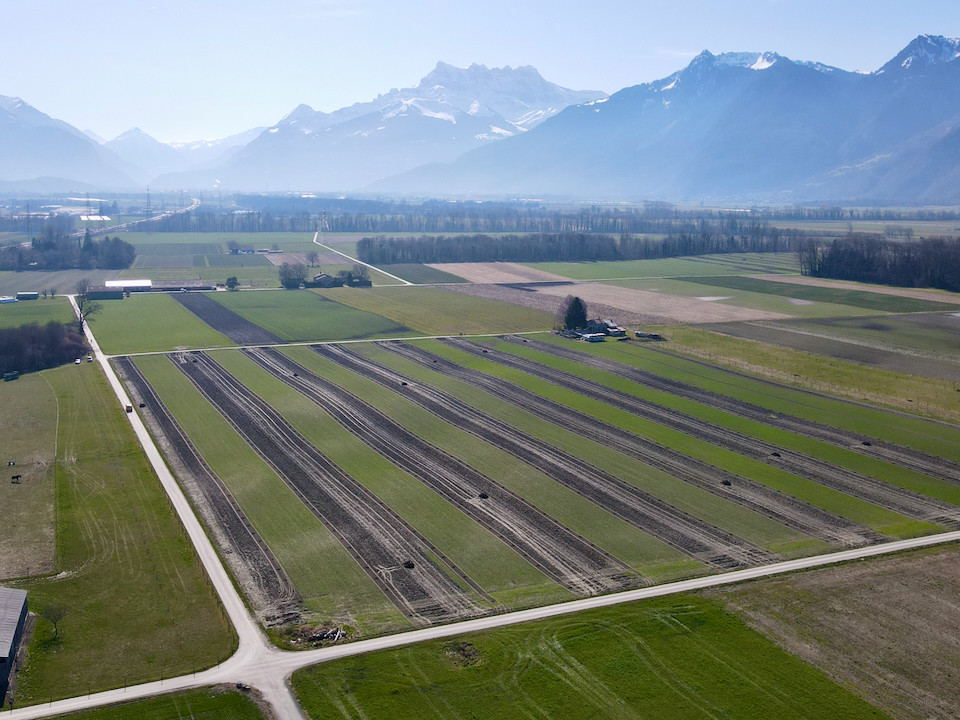 Imports 20 of 26 uai - OneAction