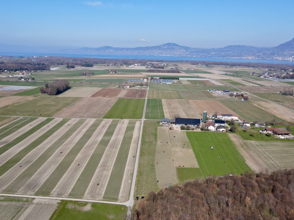 Imports 21 of 26 uai - OneAction