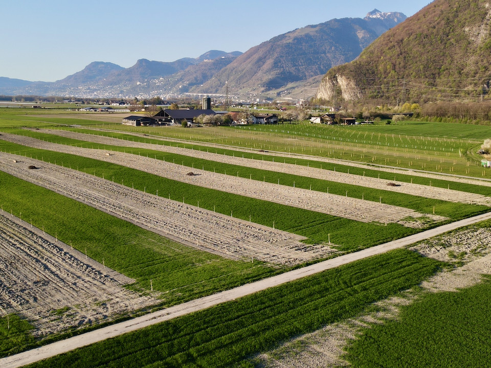 Imports 22 of 26 uai - OneAction