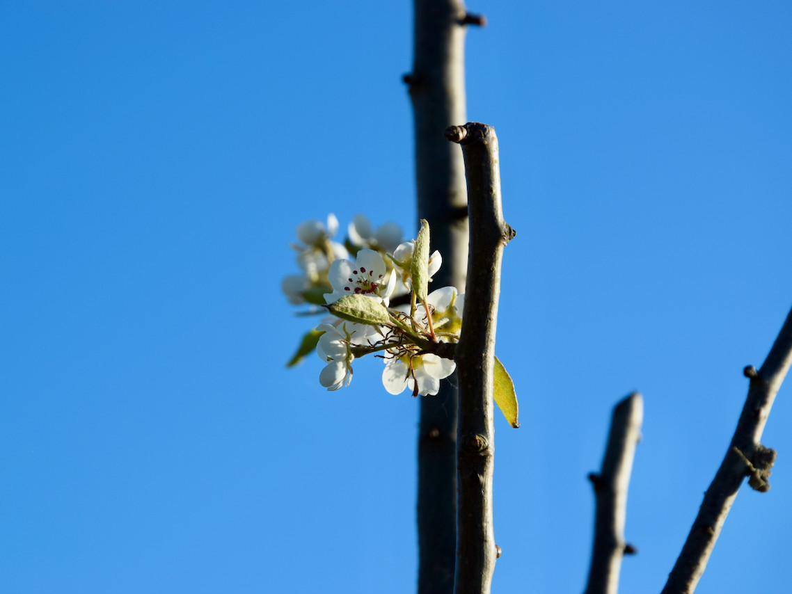 Imports 23 of 26 uai - OneAction