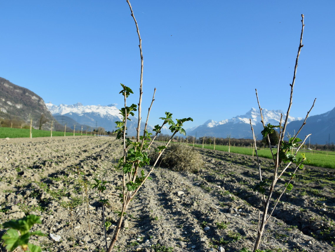 Imports 24 of 26 uai - OneAction