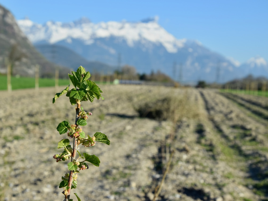 Imports 26 of 26 uai - OneAction