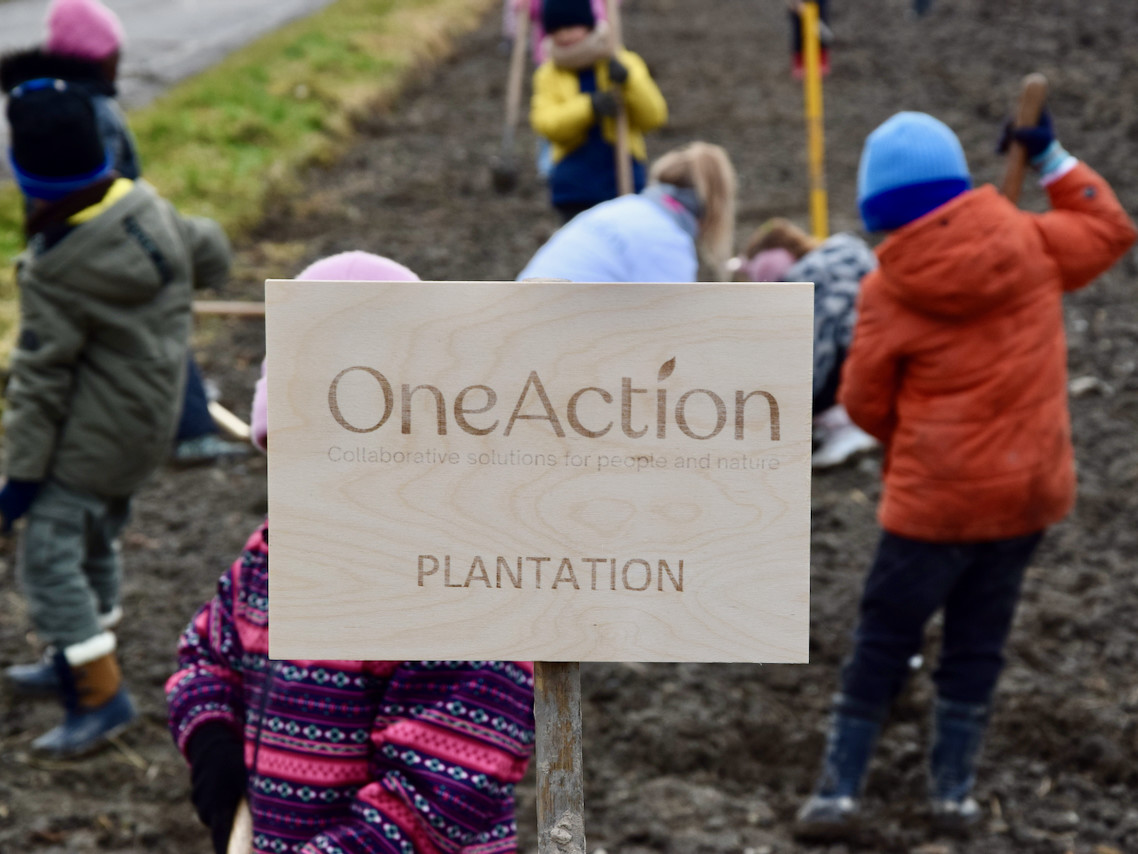 Imports 3 of 26 uai - OneAction