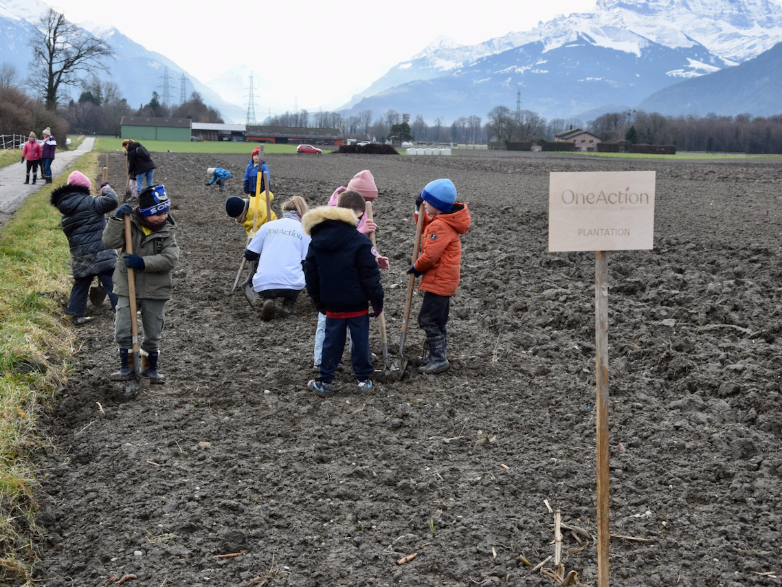 Imports 4 of 26 uai - OneAction