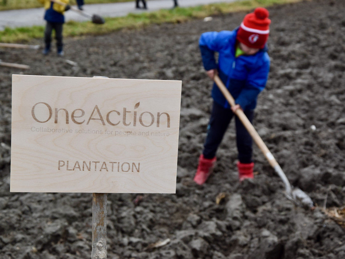 Imports 6 of 26 uai - OneAction