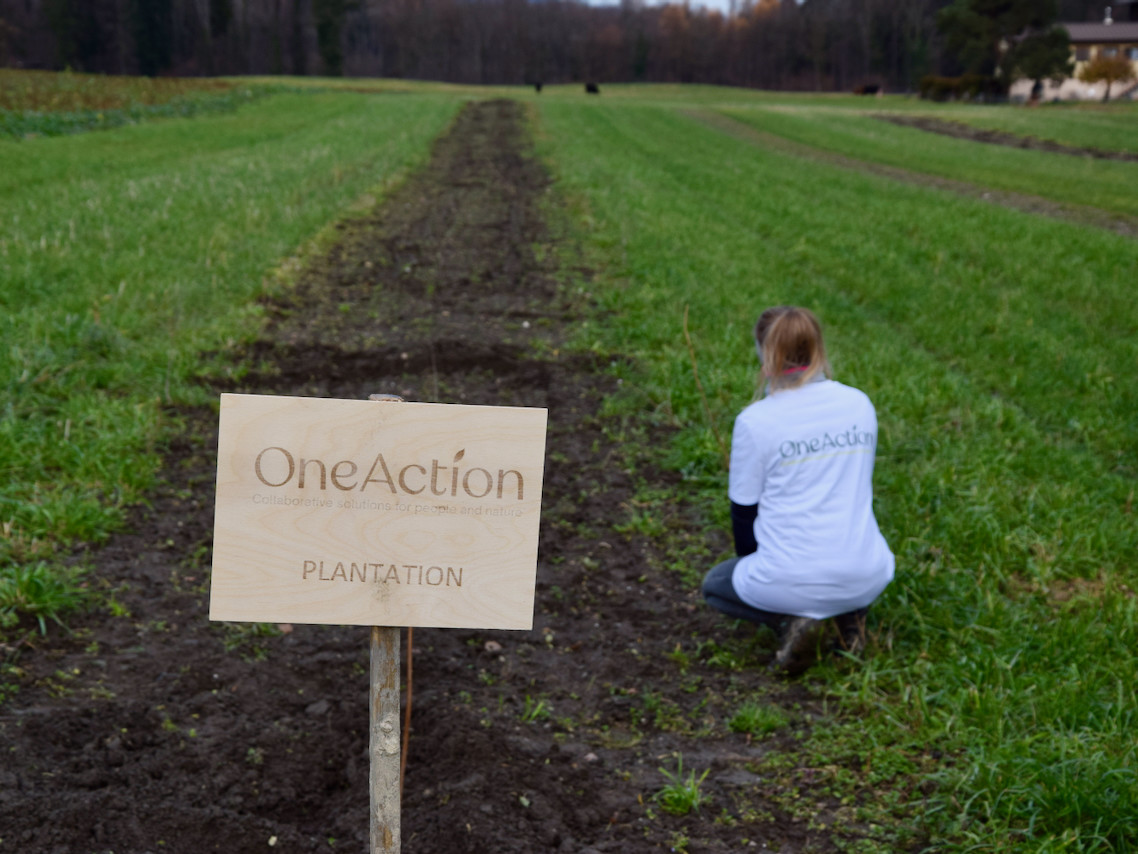 Imports 7 of 26 uai - OneAction