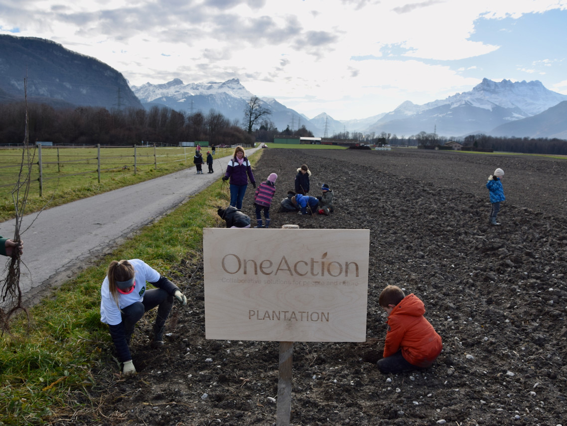 Imports 8 of 26 uai - OneAction