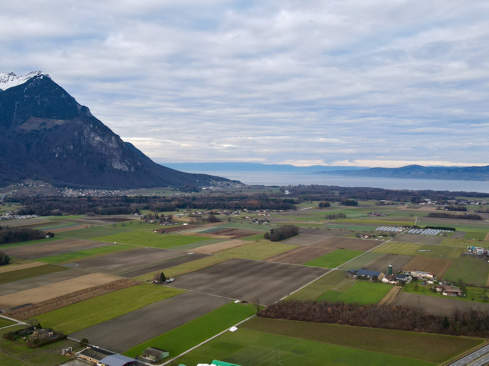 Imports 9 of 26 uai - OneAction